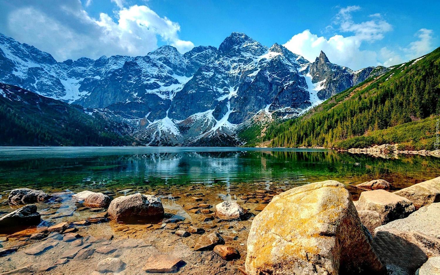 Osrodek Ski Suche & Zakopane Poronin Esterno foto